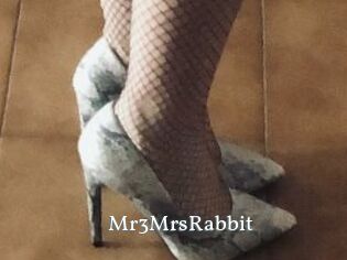 Mr3MrsRabbit