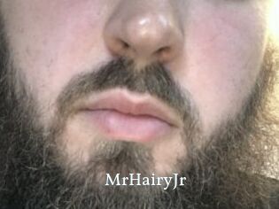 MrHairyJr