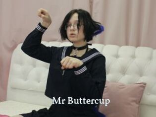 Mr_Buttercup