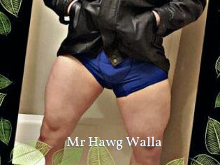 Mr_Hawg_Walla