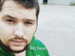 Mr_bear1