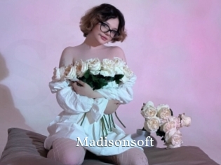 Madisonsoft