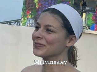 Malvinesley