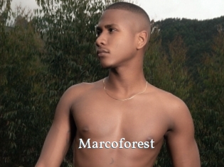 Marcoforest
