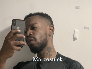 Marcosulek