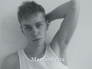 marcuscobra SexyIdol