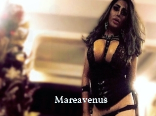 Mareavenus