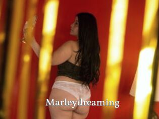 Marleydreaming