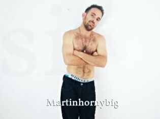 Martinhornybig