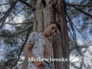 Mathew_brooks