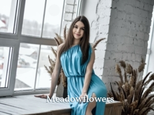 Meadowflowers