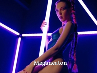 Meganeaton
