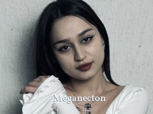 Meganecton