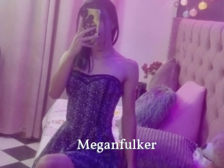 Meganfulker