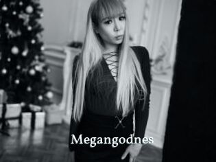 Megangodnes