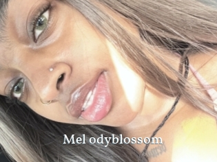 Mel_odyblossom