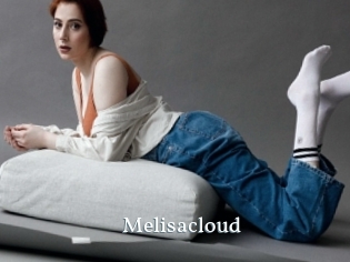 Melisacloud