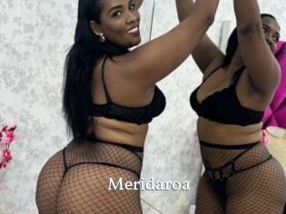Meridaroa