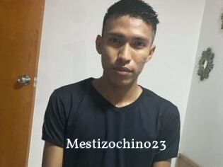 Mestizochino23