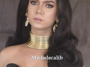Michelecalib
