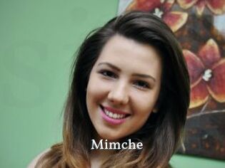Mimche