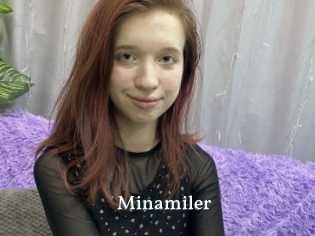 Minamiler