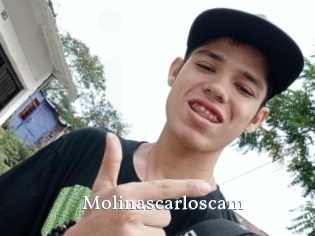 Molinascarloscam