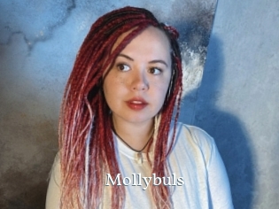 Mollybuls
