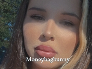Moneybagbunny