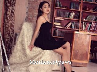 Monicacatpaws