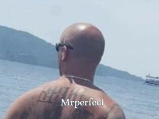 Mrperfect