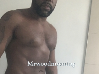 Mrwoodmoaning