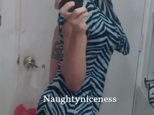Naughtyniceness