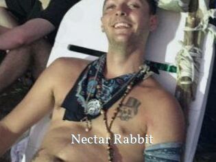 Nectar_Rabbit