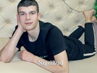 NigelBud
