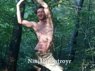 NinjaDickstroyr