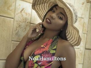 NoaHamiltons