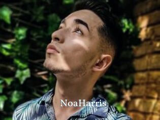 NoaHarris