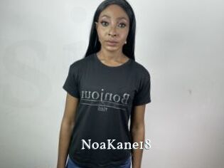 NoaKane18