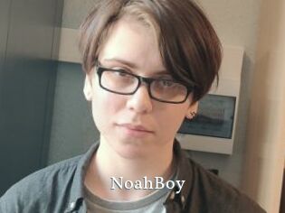NoahBoy
