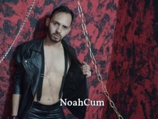NoahCum