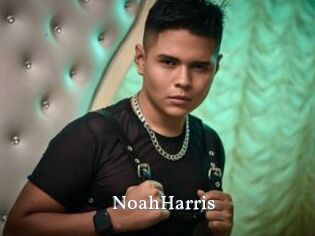 NoahHarris