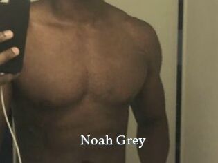 Noah_Grey