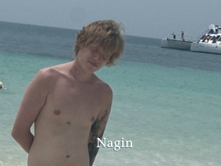 Nagin