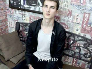Nedcute