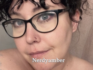 Nerdyamber