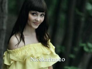 Nicekarina20