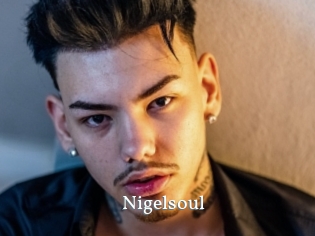 Nigelsoul