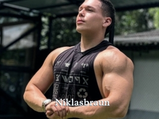 Niklasbraun