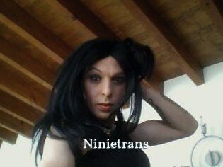 Ninietrans